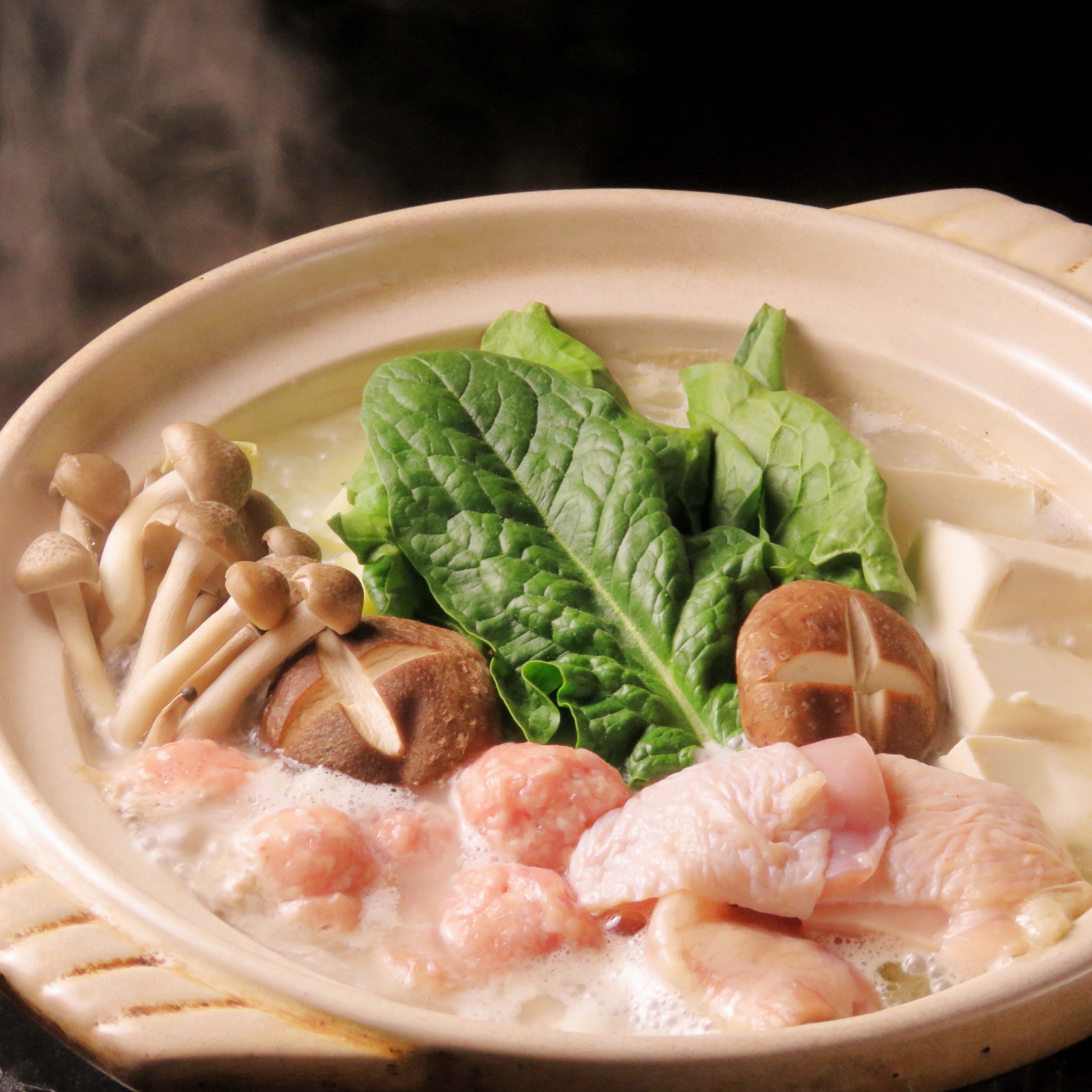 鶏白湯博多風水炊きコース